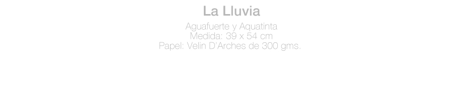 ficha-Lalluvia-AN.jpg