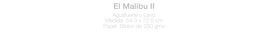 ficha-Malibu-RL.jpg
