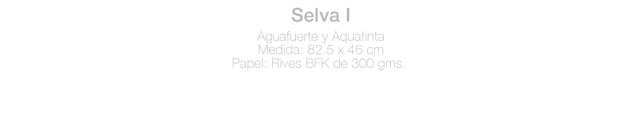 ficha-Selva1-ACL.jpg