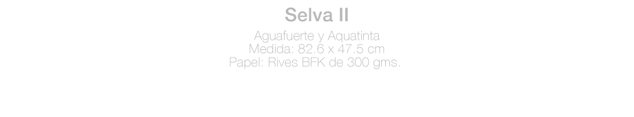 ficha-Selva2-ACL.jpg