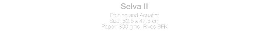 ficha-Selva2EN-ACL.jpg